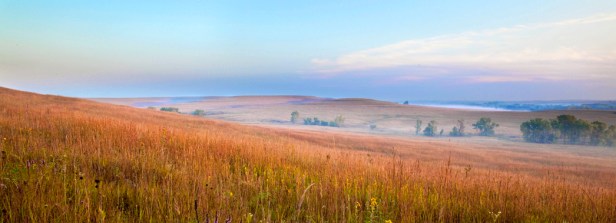 tallgrass prairie in autumn, Tallgrass Prairie National Preserve, Kansas